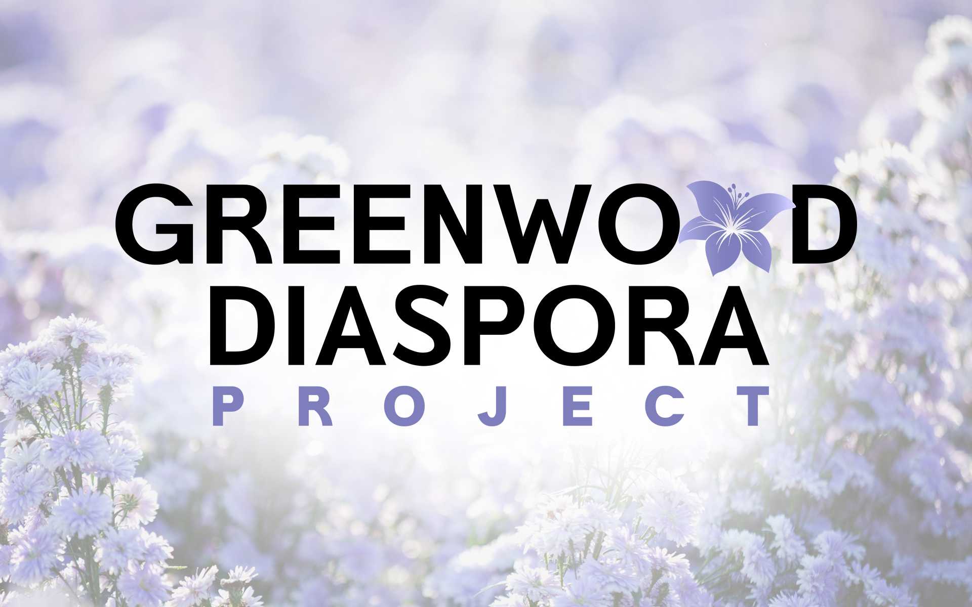 New Non-Profit – Greenwood Diaspora Project